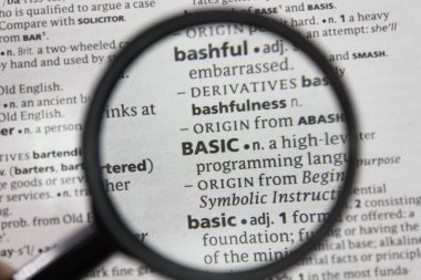 Sözlükteki temel sözcük veya sözcük.