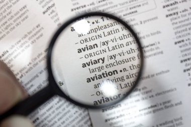 Sözlükte sözcük kuşkelimesi.