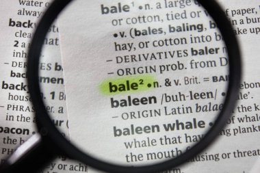 Sözlükteki balya kelimesi veya deyimi.