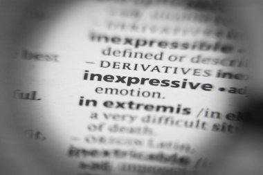 Sözlükte ifade edilemeyen sözcük ya da cümle. İhtiyaçların için harika bir fotoğraf..