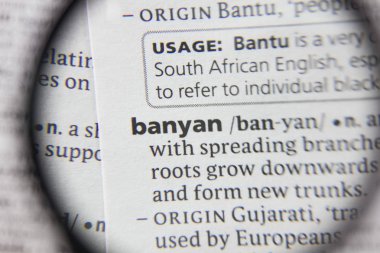 Sözlükte banyan kelimesi veya deyimi.