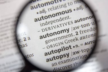 Sözlükte ifade özerklik sözcüğü.