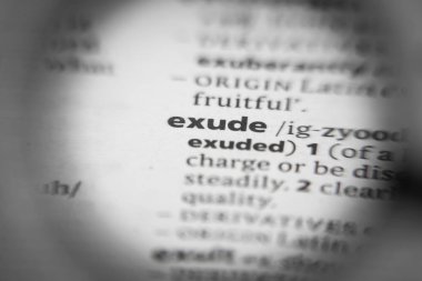 Bir sözlükte kelime ya da cümle yayılır. İhtiyaçların için harika bir fotoğraf..