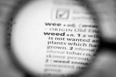 Sözlükteki kelime ya da cümle otu. İhtiyaçların için harika bir fotoğraf..