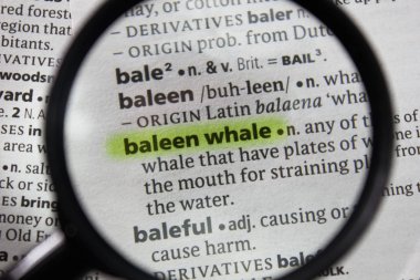 Sözlükte kelime veya ifade balya balina.