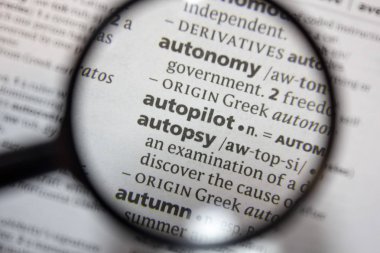 Sözlükte ifade otopsi sözcüğü.