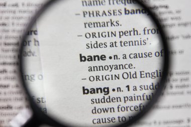 Sözlükteki sözcük veya ifade bane.