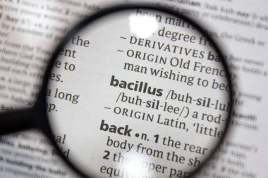 Sözlükte bacillus sözcüğü.