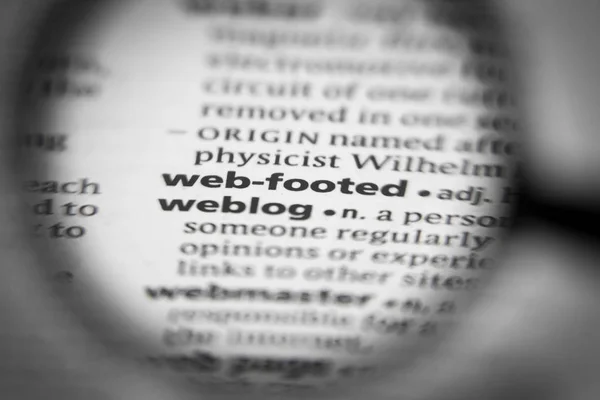 Word or phrase web-footed in a dictionary. Great photo for your needs.