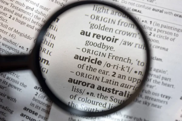 Mot Phrase Auricule Dans Dictionnaire — Photo