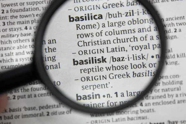 Word Phrase Basilisk Dictionary — Stock Photo, Image