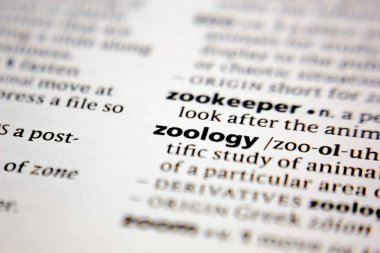 Word or phrase zoology in a dictionary.