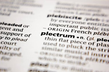 Word or phrase plectrum in a dictionary.
