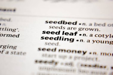 Word or phrase seed leaf in a dictionary.