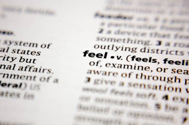 Bir sözlükte sözcük ya da ifade hisset.