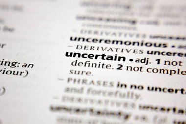 Word or phrase uncertain in a dictionary.