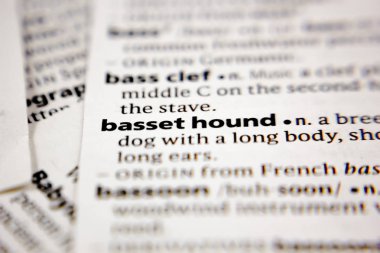 Word or phrase basset hound in a dictionary.