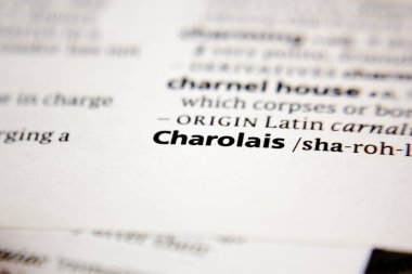 Word or phrase Charolais in a dictionary.