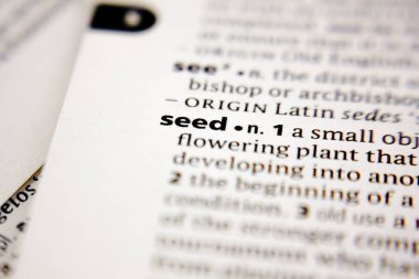 Word or phrase seed in a dictionary.