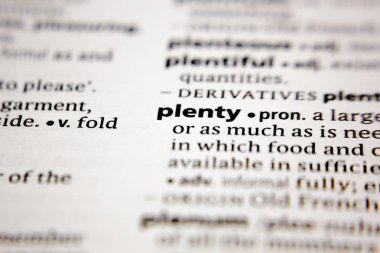 Word or phrase plenty in a dictionary.