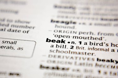 Word or phrase beak in a dictionary.