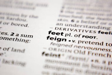 Word or phrase feign in a dictionary.