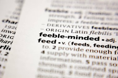 Bir sözlükte sözcük ya da cümle geri zekalı.