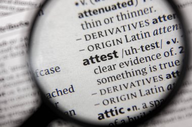 Sözlükte doğrulayıcı sözcük veya tümcecik.