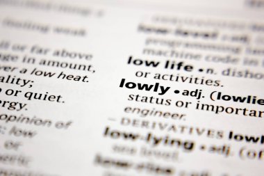 Sözlükte basit bir sözcük ya da cümle.