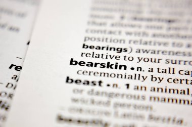 Word or phrase bearskin in a dictionary.