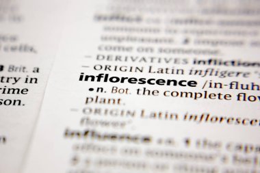 Sözlükte kelime ya da sözcük dolgunluğu.