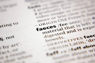 Sözlüğe sözcük ya da cümle dışkısı.