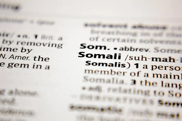 Слово или фраза сомалийский в словаре . — стоковое фото