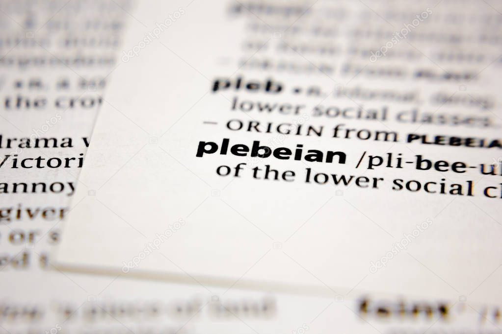 Word or phrase plebeian in a dictionary.