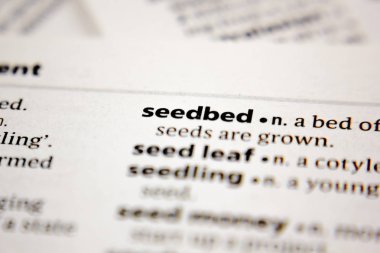 Sözlüğe eklenmiş sözcük ya da cümle.