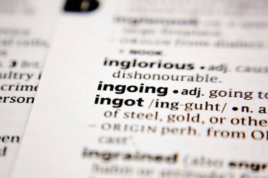 Sözlükte giriş yapan kelime ya da ifade.