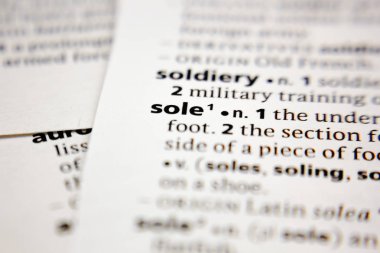 Sözlükteki sözcük veya ifade tabanı.