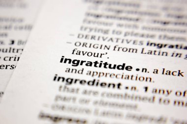 Sözlükteki kelime ya da ifade nankörlüğü.