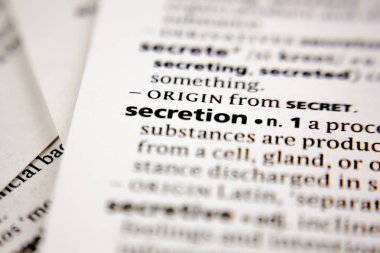 Sözlükte kelime ya da cümle salgılama.