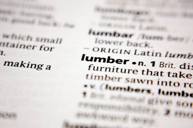 Sözlükte kelime ya da cümle kerestesi.