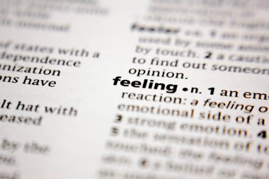 Sözlükte sözcük ya da ifade duygusu.