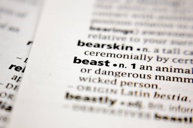 Sözlükteki kelime ya da kelime canavarı.