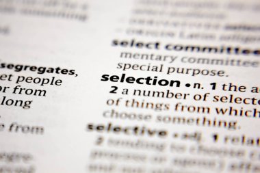 Sözlükte sözcük veya söz seçimi.