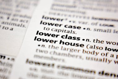 Sözlükte alt sınıf sözcük veya ifade.