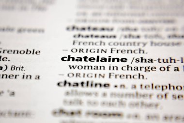 Sözlükte sözcük ya da sözcük şasesi.