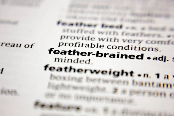 Word or phrase feather-brained in a dictionary. — 스톡 사진