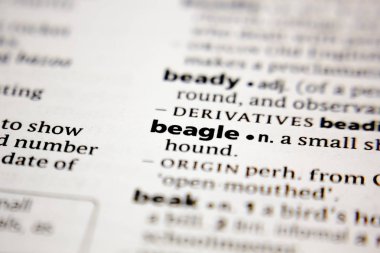 Kelime veya cümle Beagle bir sözlük.