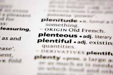 Sözlükte kelime veya cümle.