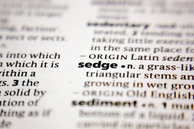 Kelime veya cümle bir sözlükte saz.