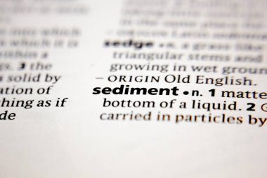 Sözlükte kelime veya ifade tortu.